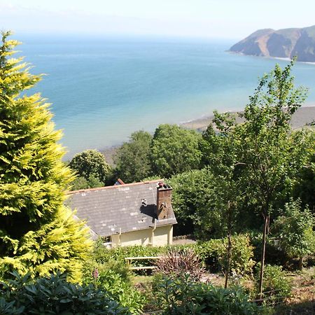 North Walk House Bed and Breakfast Lynton Εξωτερικό φωτογραφία